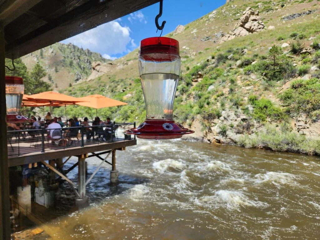 Hummingbird Feeder overlooking the Poudre River at The Mishawaka on Hwy 14 Poudre Canyon Scenic Byway near Livermore & Red Feather Lakes, Colorado