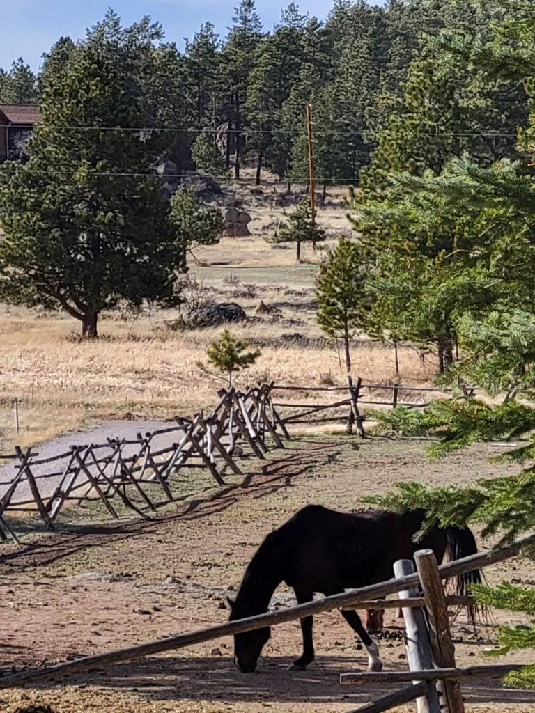 Cassidy Ranch Front Pasture