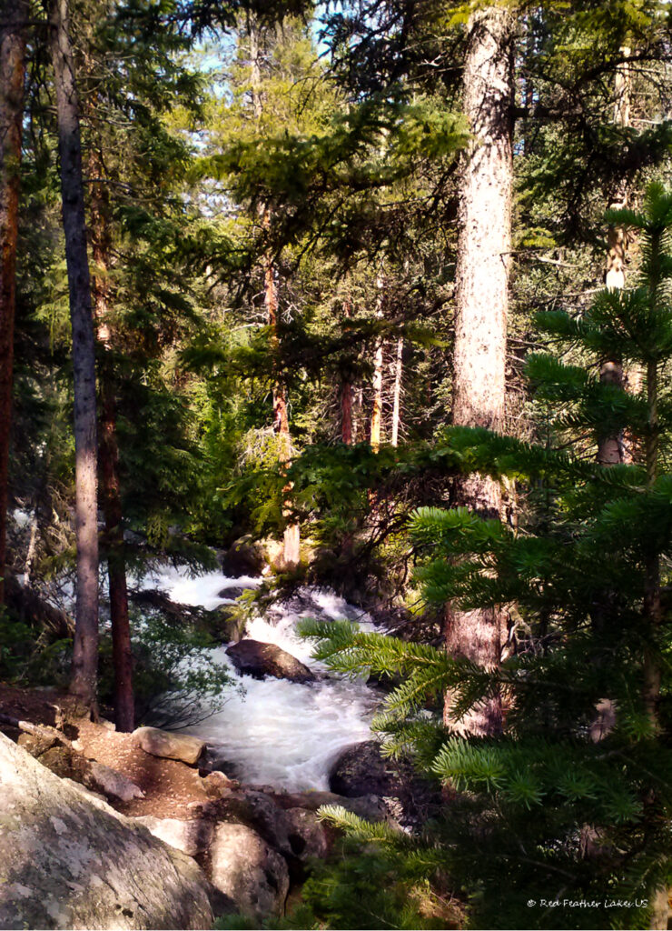 Gallery of Photographs from Parks and Trails near Red Feather Lakes, Colorado