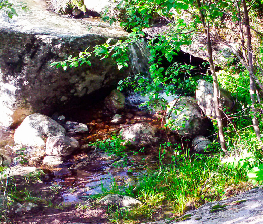 A small creek rivulet trailside near Red Feather Lakes, Colorado