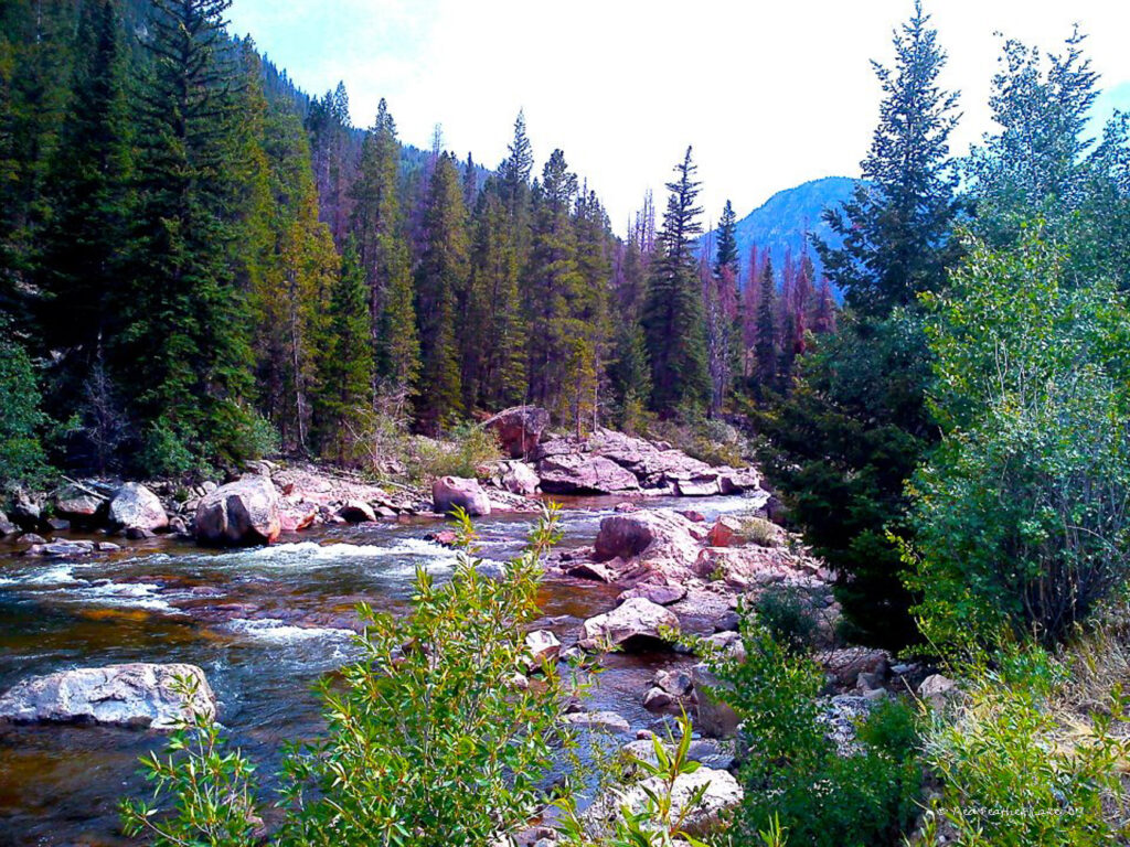 Poudre River with rock outcroppings and forested mountains near Rustic, Colorado