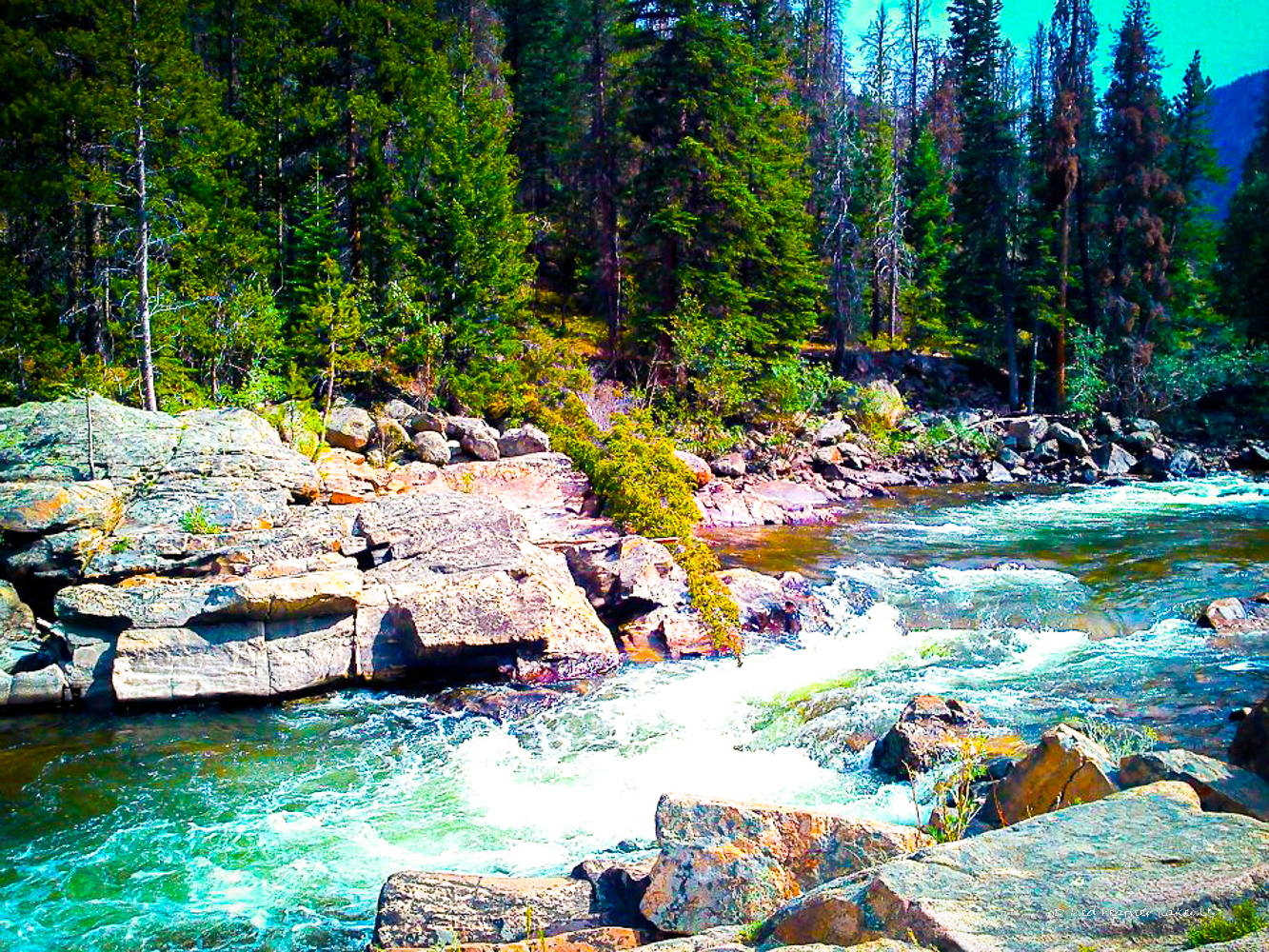 Rapids on the Poudre River at the Big South Trail on Hwy 14 west of Rustic, Colorado
