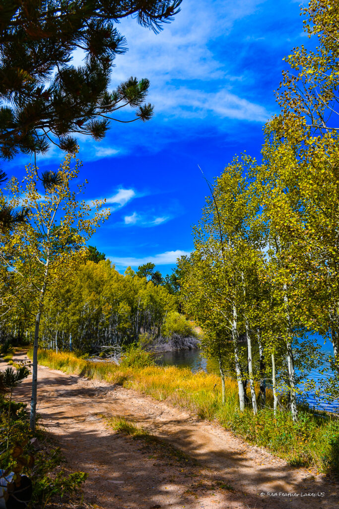 Scenic Dirt Road at Lake Erie in Crystal Lakes near Red Feather Lakes, Colorado