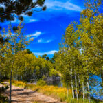 Scenic Dirt Road overlooking shimmering Lake Erie through aspen leaves in fall in Crystal Lakes on County Road 73c in Red Feather Lakes Colorado
