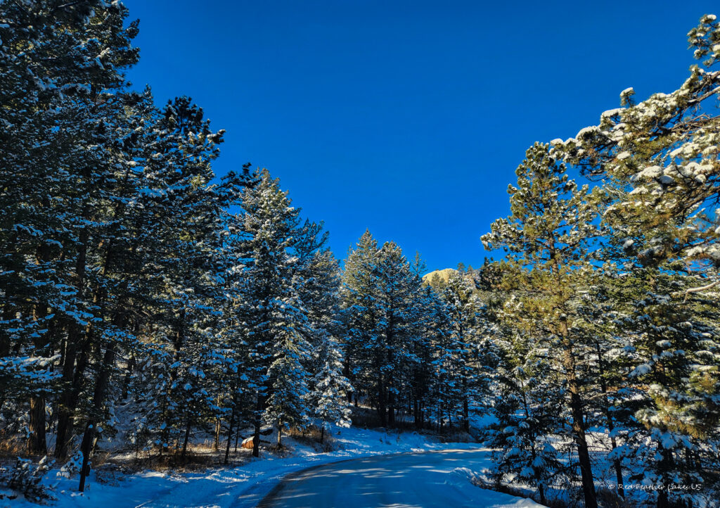 Snow Covered Evergreen Trees Along Bald Mountain Drive in Glacier View Meadows in Livermore, Colorado near Red Feather Lakes