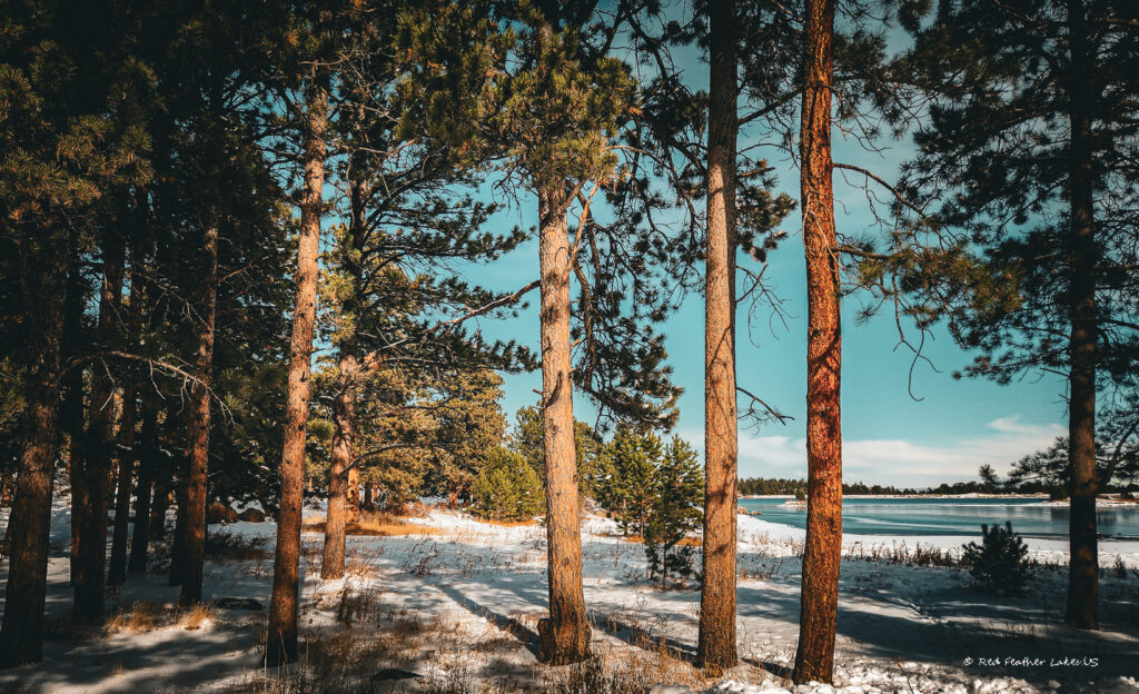 View of Dowdy Lake through Pine Trees in the snow at Dowdy Lake State Park in Red Feather Lakes, Colorado