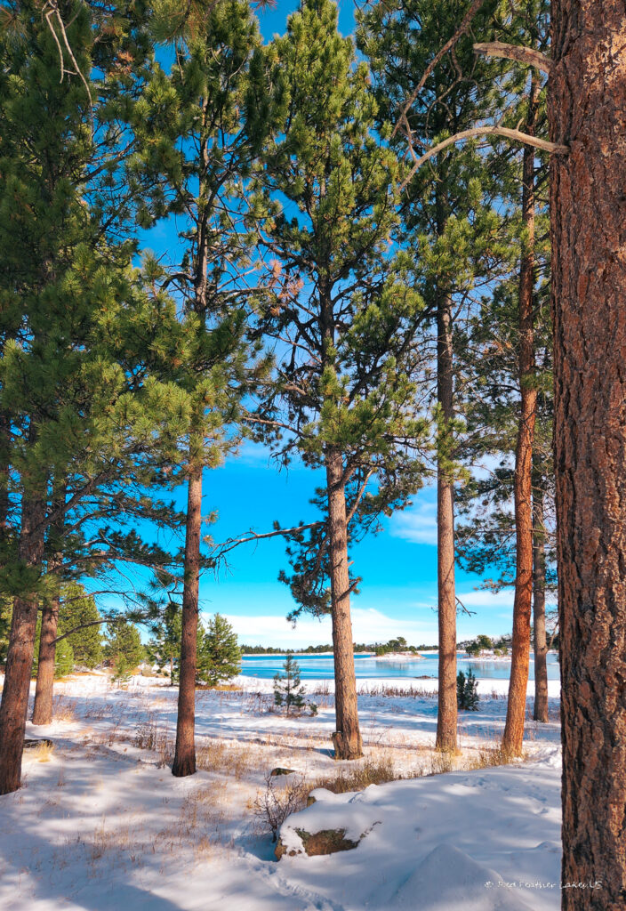 Red Feather Lakes.US-4 View of Dowdy Lake through the snow-covered pines at Dowdy Lake State Park, Red Feather Lakes, Colorado