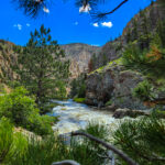 View of the Poudre River through Evergreen Branches on Colorado Highway 14 Rustic, Colorado