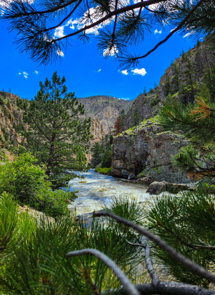 View of the Poudre River through Evergreen Branches on Colorado Highway 14 Rustic, Colorado
