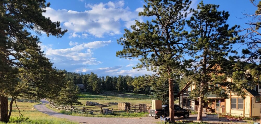 Picture of Driveway with trees against a pasture backdrop showing Cassidy Ranch Private Cabin Rental in Glacier View Meadows in Livermore Colorado
