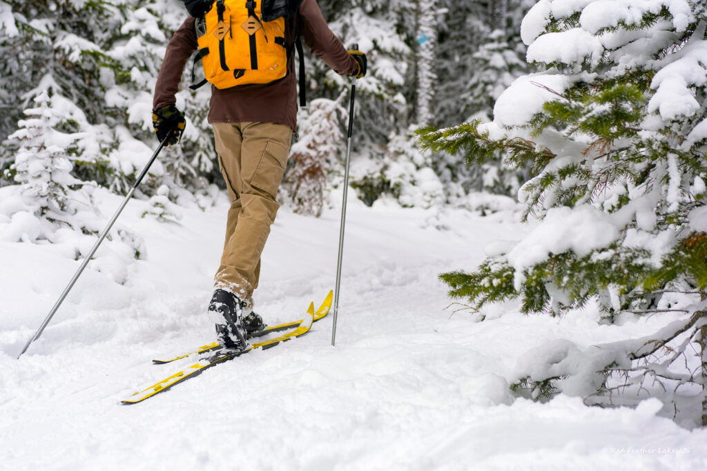 cross country skier demonstrating winter activities in Red Feather Lakes, Colorado