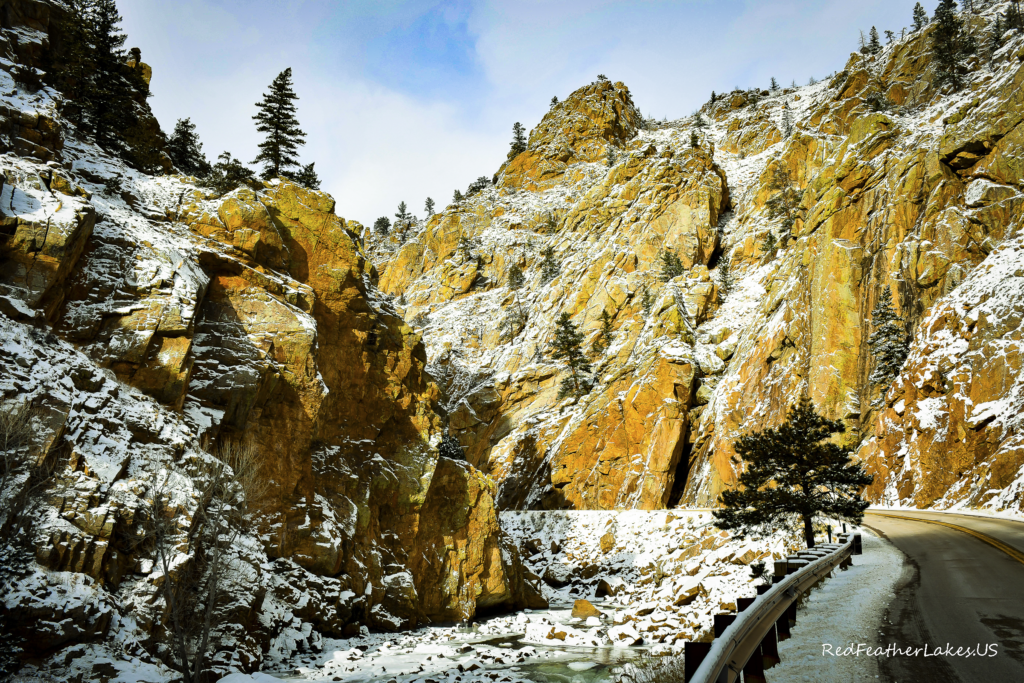 Snowy canyon road with pine trees.