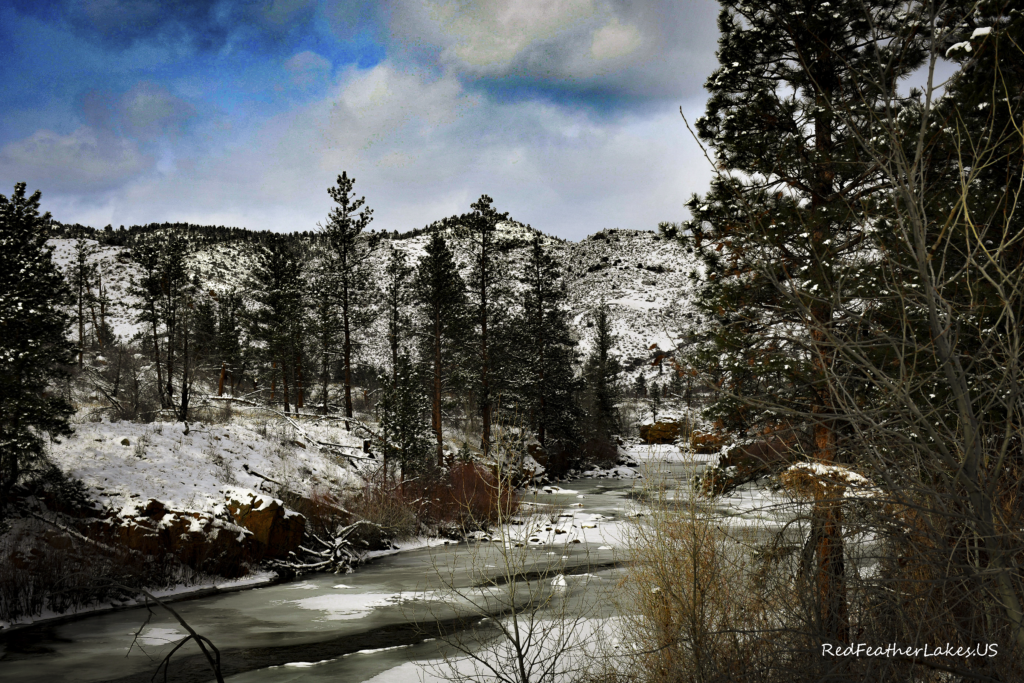 Snowy Cache La Poudre landscape with pine trees and mountains.