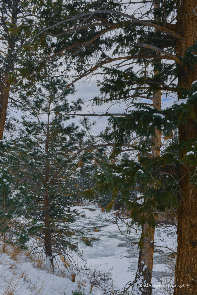 Snow-covered forest and icy river landscape along Colorado Highway 14 between Bellvue and Rustic