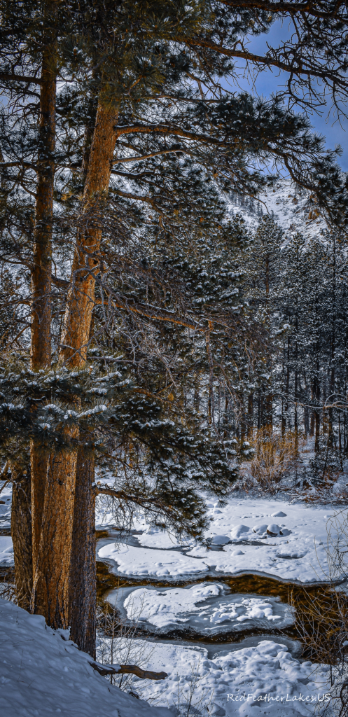 Snowy river landscape with snow-covered trees and rocks.