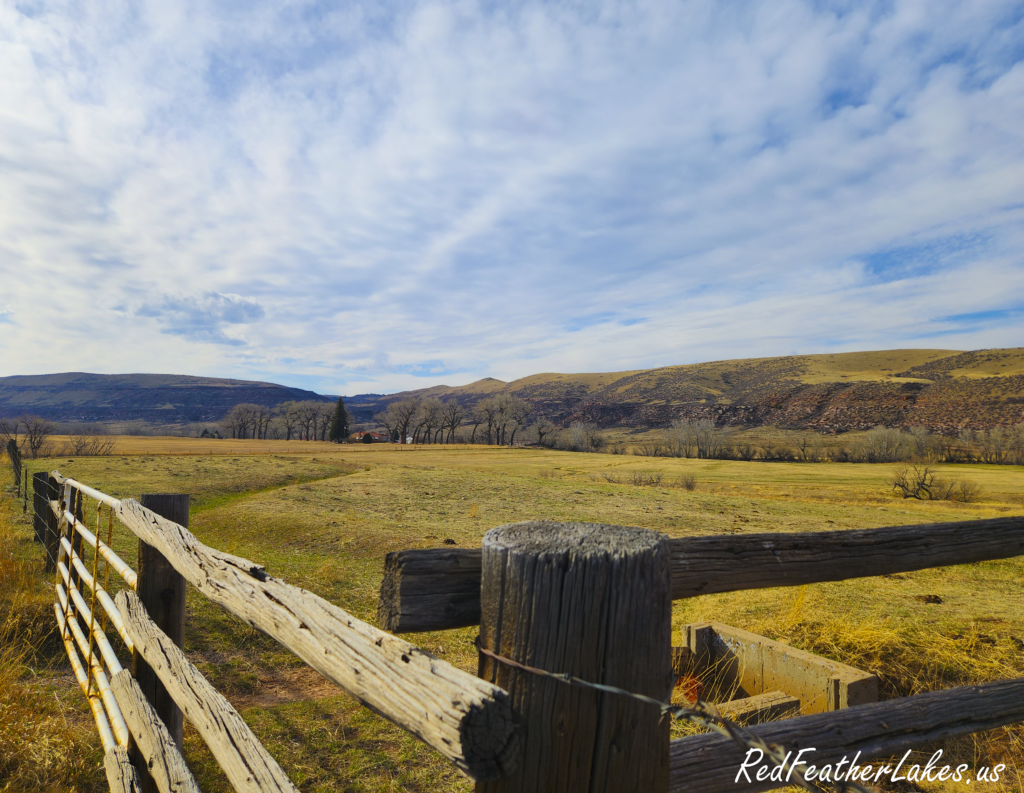 20260322_163408-2 Scenic view of a rural landscape with fence
