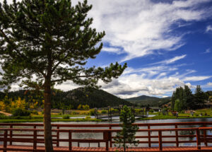Scenic lake view with pine tree and mountains