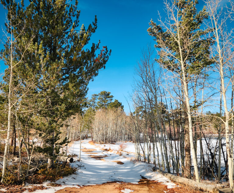 Red Feather Lakes.US 128 768x636