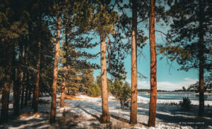 Red Feather Lakes.US 3 300x183