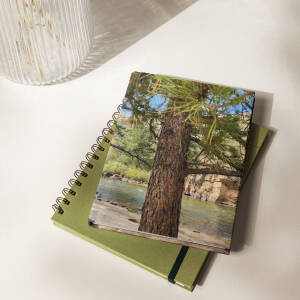 Spiral notebook with tree photo on green journal