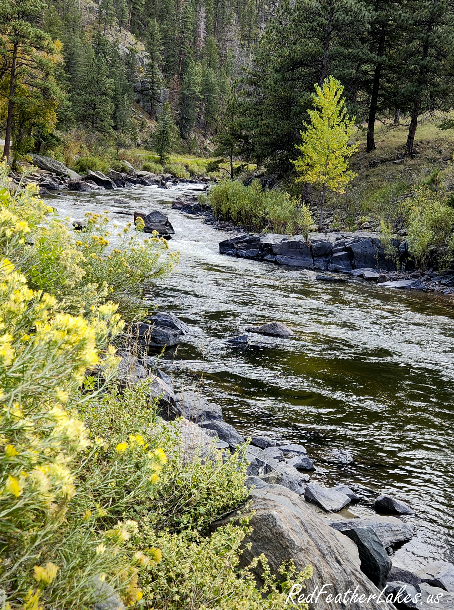 Poudre River near Mountain Park Campground, Poudre Canyon in Larimer County Colorado