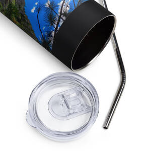 Stainless steel tumbler with lid and metal straw