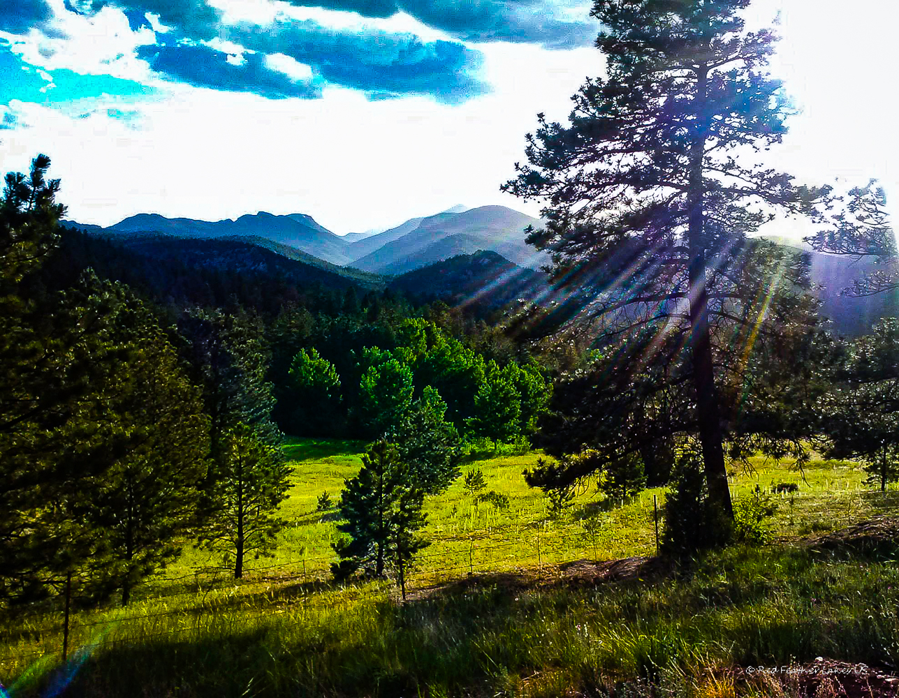 Sunlit forest and mountains landscape near Pingree Park and Jack's Gulch Campground, Larimer County Colorado