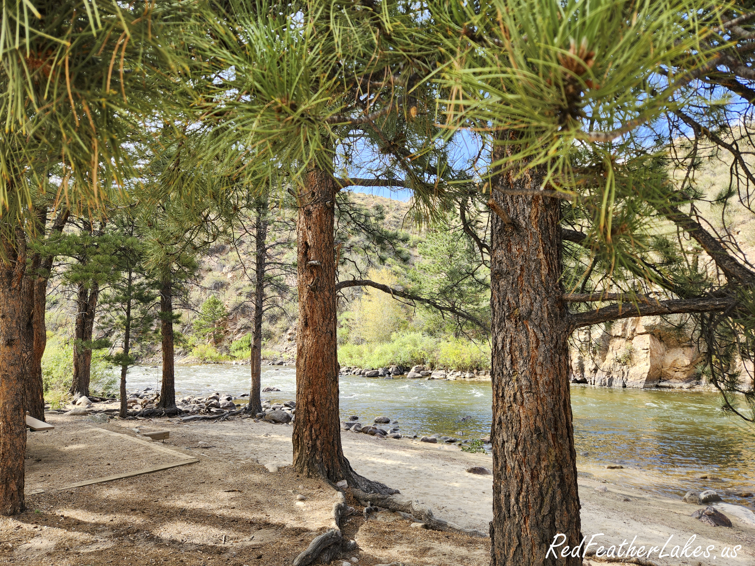 USDA Forest Service Campsite along the Poudre River in Poudre Canyon (Bellvue), Larimer County Colorado