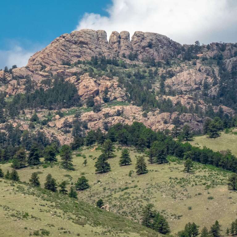 Our Horsetooth Mountain Landscape