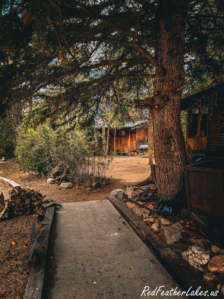 A shady gravel path beneath a towering ponderosa pine at The Trading Post Resort, a rustic cabin in the dappled light beyond