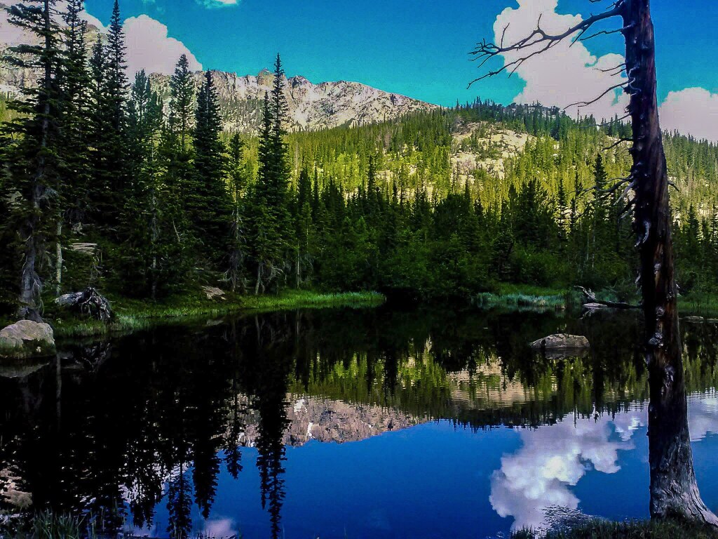 Emerald Lake reflecting forested slopes and a rocky ridge under a blue sky, Rocky Mountain National Park