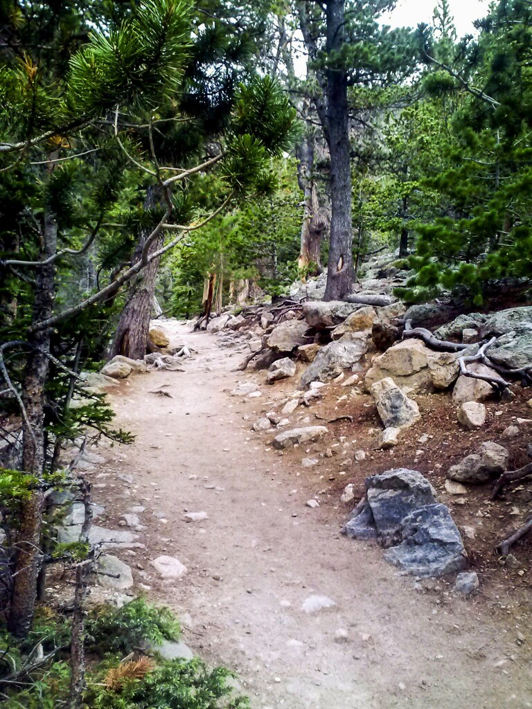The rocky trail climbing toward Dream Lake through subalpine forest, Rocky Mountain National Park