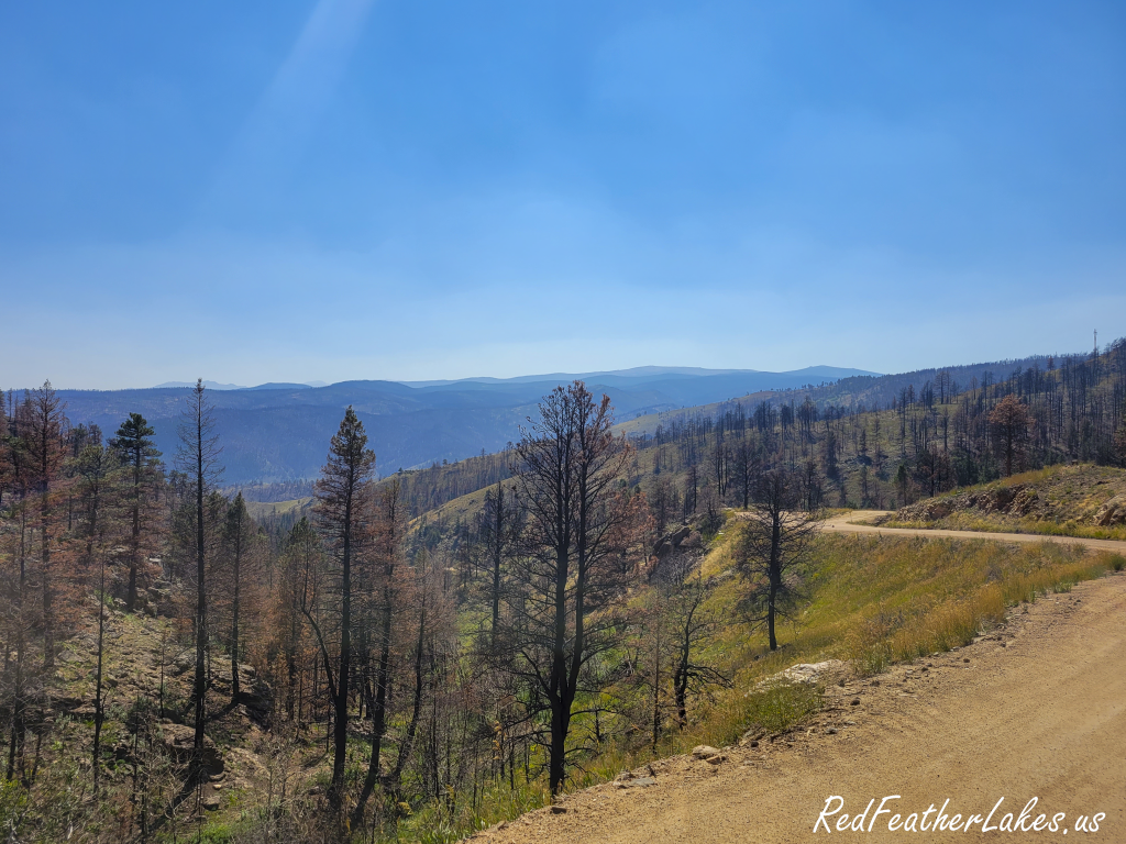 Burn scar forest road nw larimer county