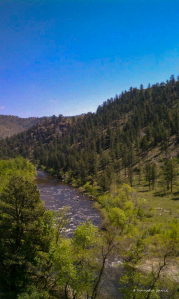 The Cache la Poudre Scenic Byway winding through the Poudre Canyon, Colorado