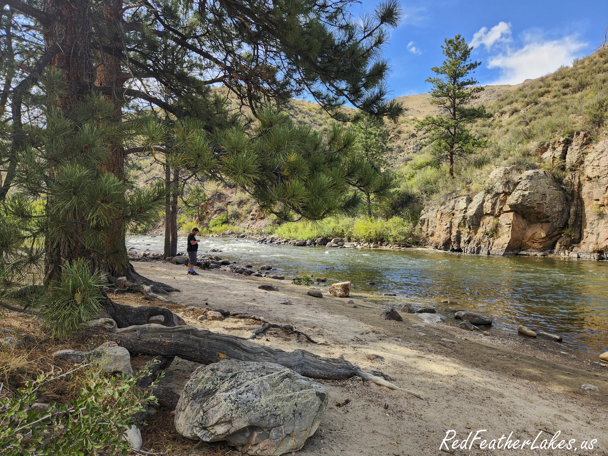 A visitor standing along the Cache la Poudre River in the Poudre Canyon