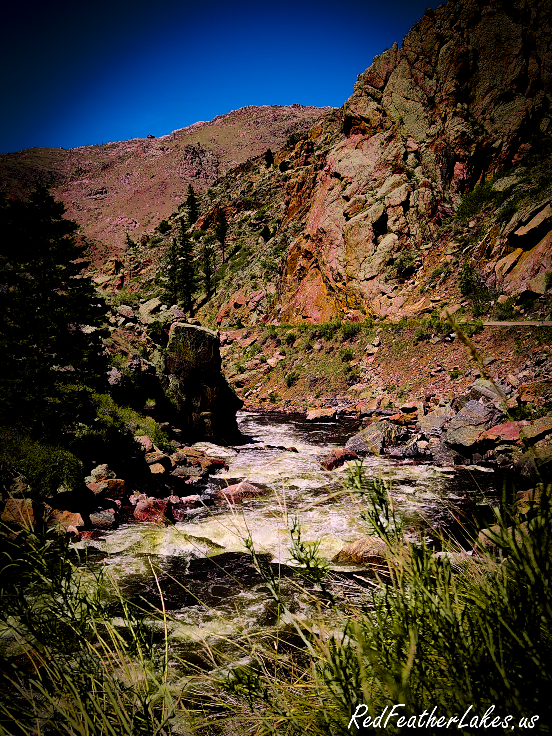 Dramatic red rock canyon walls along the Cache la Poudre Scenic Byway