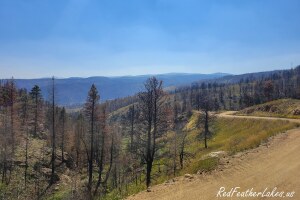 The Cameron Peak Fire burn scar seen from County Road 69 (Boy Scout Road) in Northwest Larimer County, Colorado in September 2021, one year after the fire — burned trees still holding dead needles above a dirt road, with the burn running across ridge after ridge to the horizon