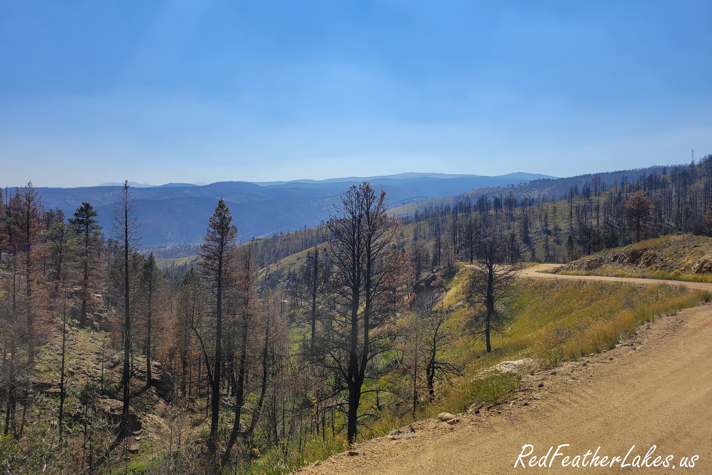 The Cameron Peak Fire burn scar seen from County Road 69 (Boy Scout Road) in Northwest Larimer County, Colorado in September 2021, one year after the fire — burned trees still holding dead needles above a dirt road, with the burn running across ridge after ridge to the horizon