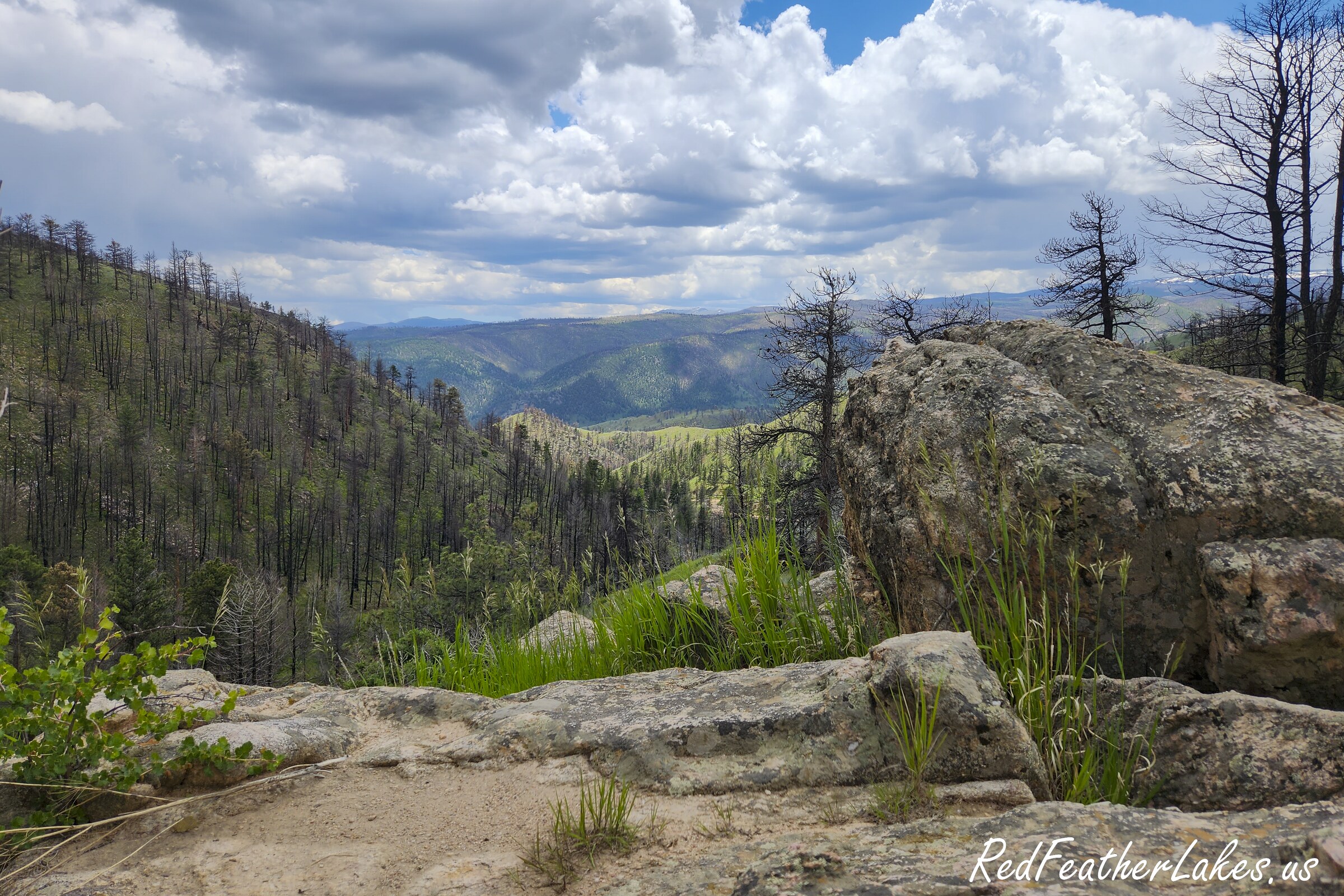 The same Cameron Peak Fire burn scar from Boy Scout Road (County Road 69) in Northwest Larimer County, Colorado in July 2023, three years after the fire — standing dead trees above a granite outcrop, with grass and young conifers greening the valley below under summer storm clouds