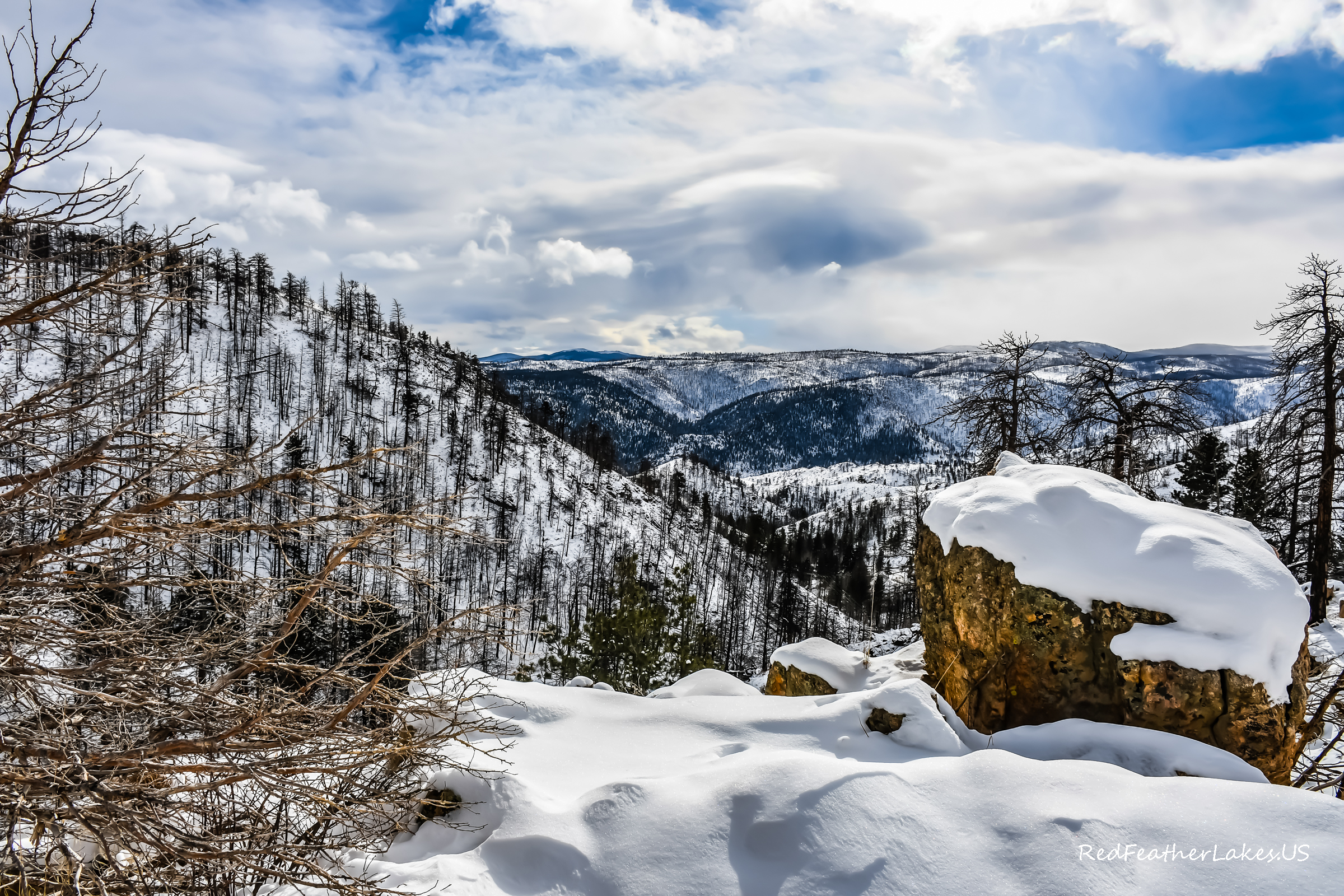 The same view of the Cameron Peak Fire burn scar from Boy Scout Road (County Road 69) in Northwest Larimer County, Colorado in January 2025, under deep winter snow — bare fire-killed trees standing over a snow-covered granite outcrop and the drainage beyond