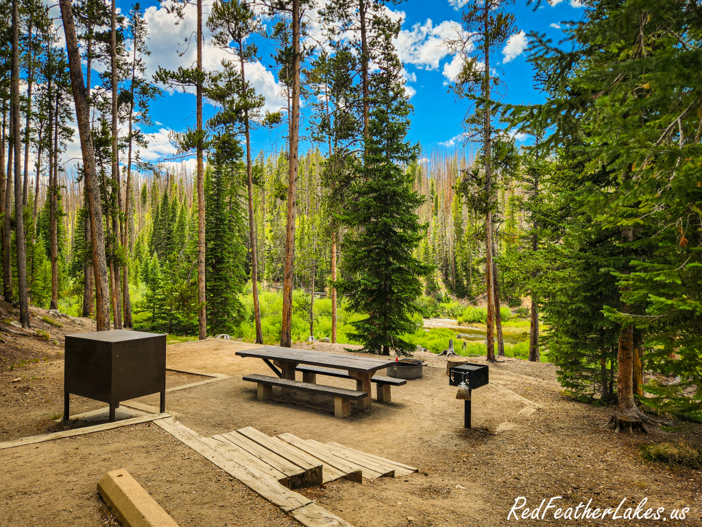 A clean, spacious campsite at Chambers Lake with a picnic table, bear-proof box, and fire ring under a big blue Colorado sky