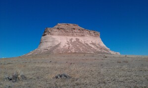 Bird Conservancy of the Rockies: Migratory Bird Day and Night Sky Review!
