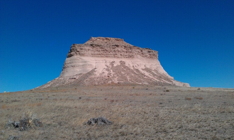 Bird Conservancy of the Rockies: Migratory Bird Day and Night Sky Review!