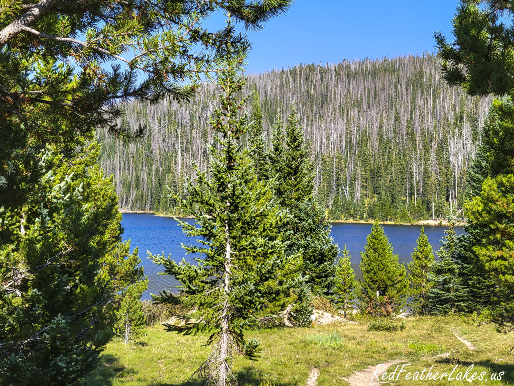 Joe Wright Reservoir — a fishing spot in Northwest Larimer County, Colorado