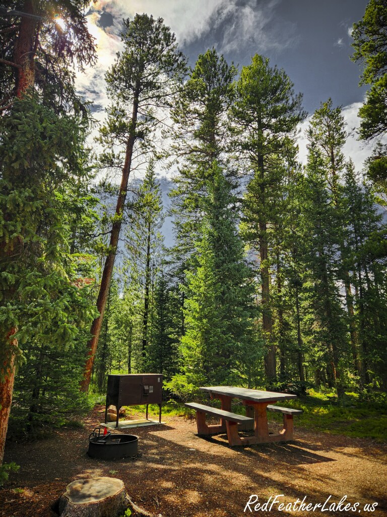 A campsite with a picnic table and fire ring among tall lodgepole pines at Long Draw Campground in the upper Poudre high country near Cameron Pass, Colorado
