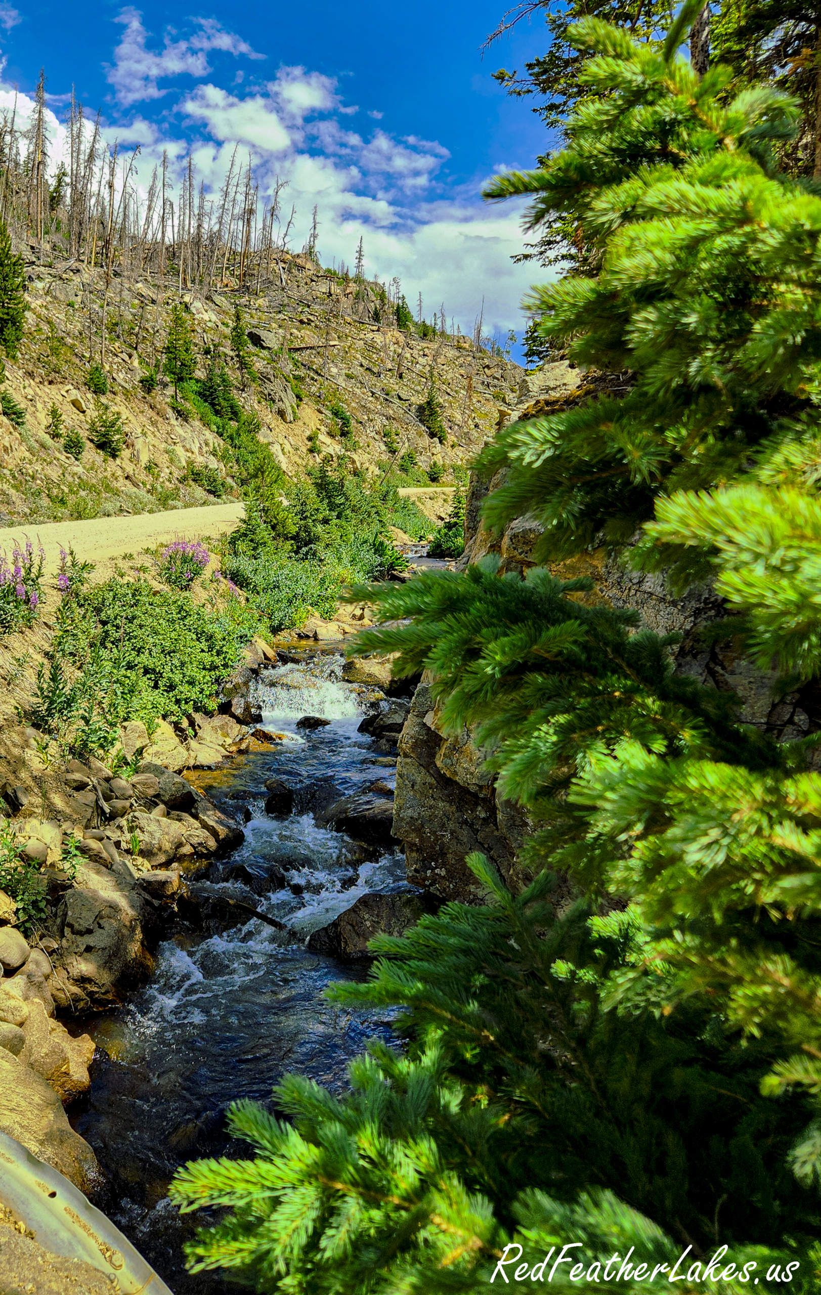 A snowmelt creek below the recovering Cameron Peak burn scar along Long Draw Road