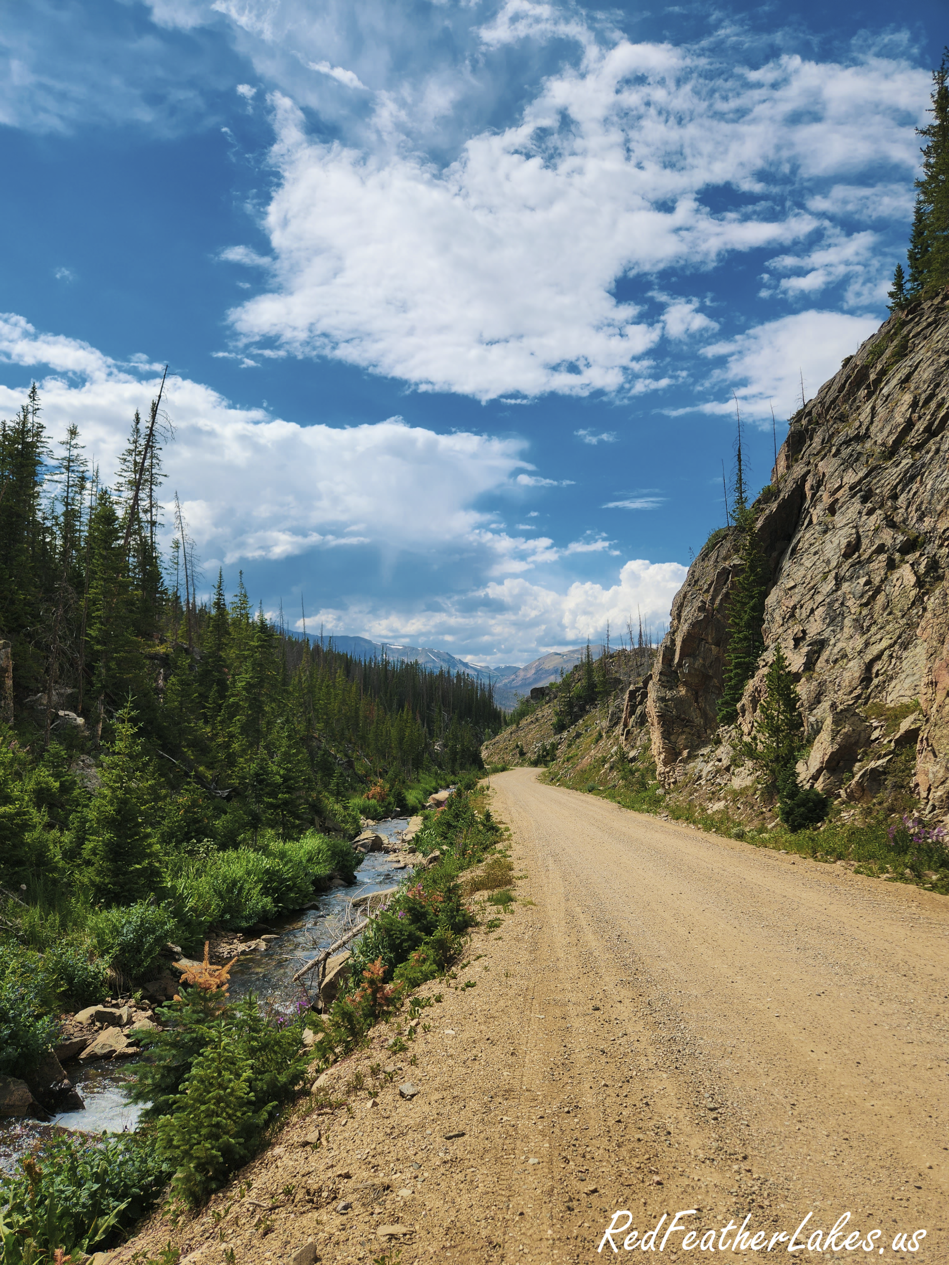 Looking downhill along Long Draw Road between a creek bottom and high rock outcrops