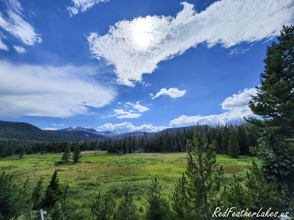 Open meadow and spruce-fir forest below the peaks on Long Draw Road, the quiet meadow country the drive offers in fall