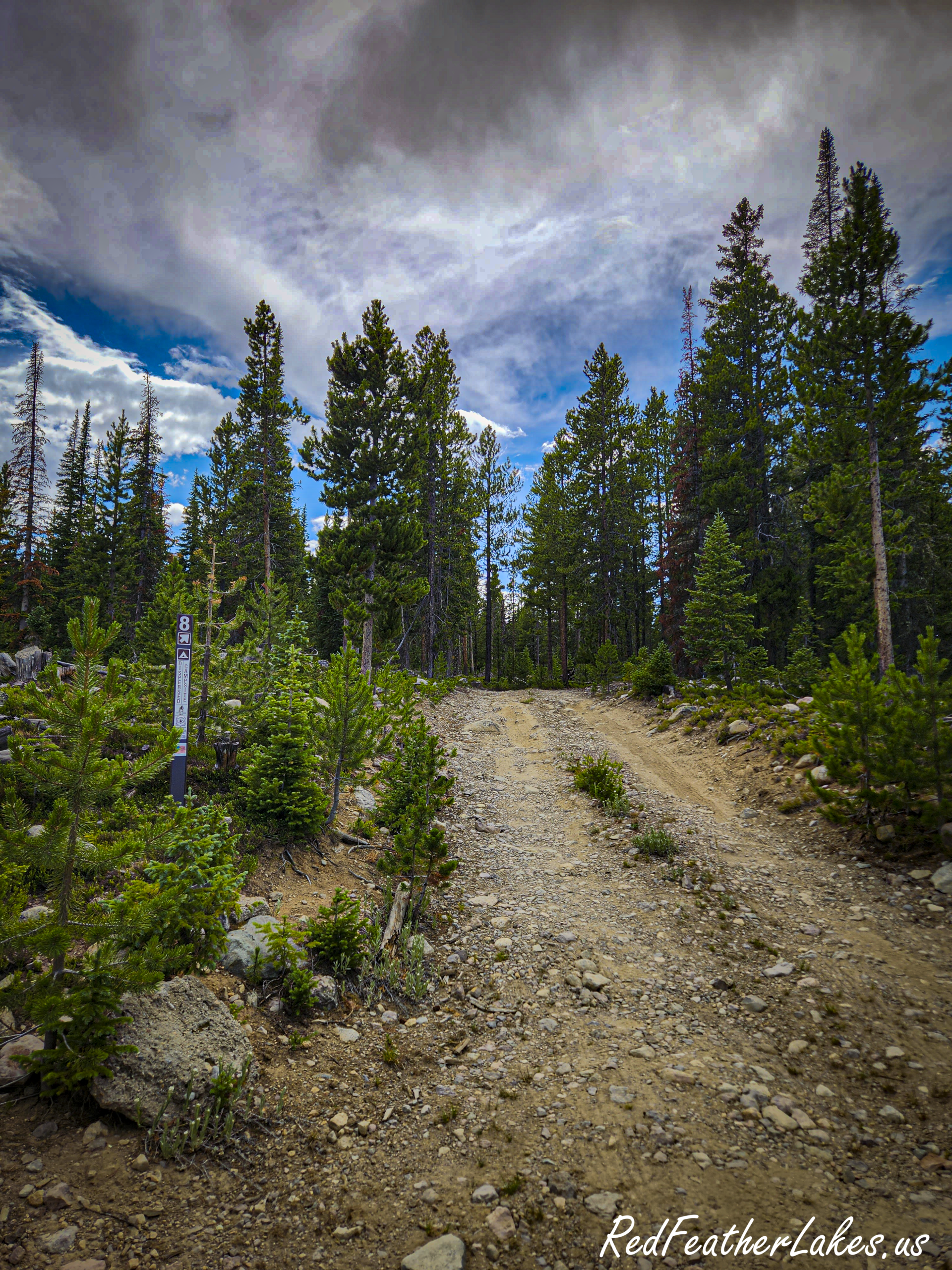 A rough, rocky side spur off Long Draw Road leading to the marked dispersed campsites