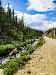 Snowmelt water rushing between rocks and summer greenery along Long Draw Road